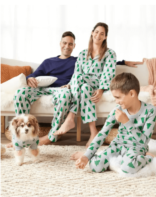 Family of 3 (mom, dad, son) and pomeranian dog all wearing matching pajamas. The Pajamas are gray with a green christmas tree pattern. The dad is wearing a navy blue shirt with the patterned pants.
